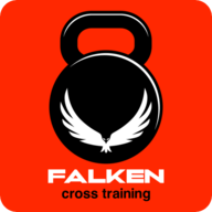 Logo de FALKEN CT